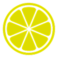 Citrus slice