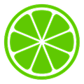 Citrus slice